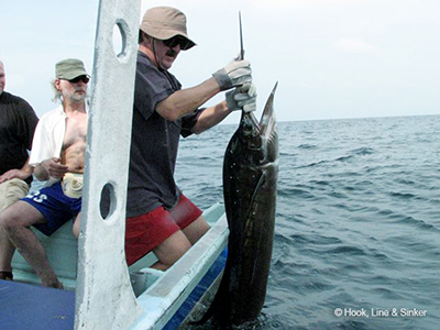 Kuala Rompin Sailfish 04